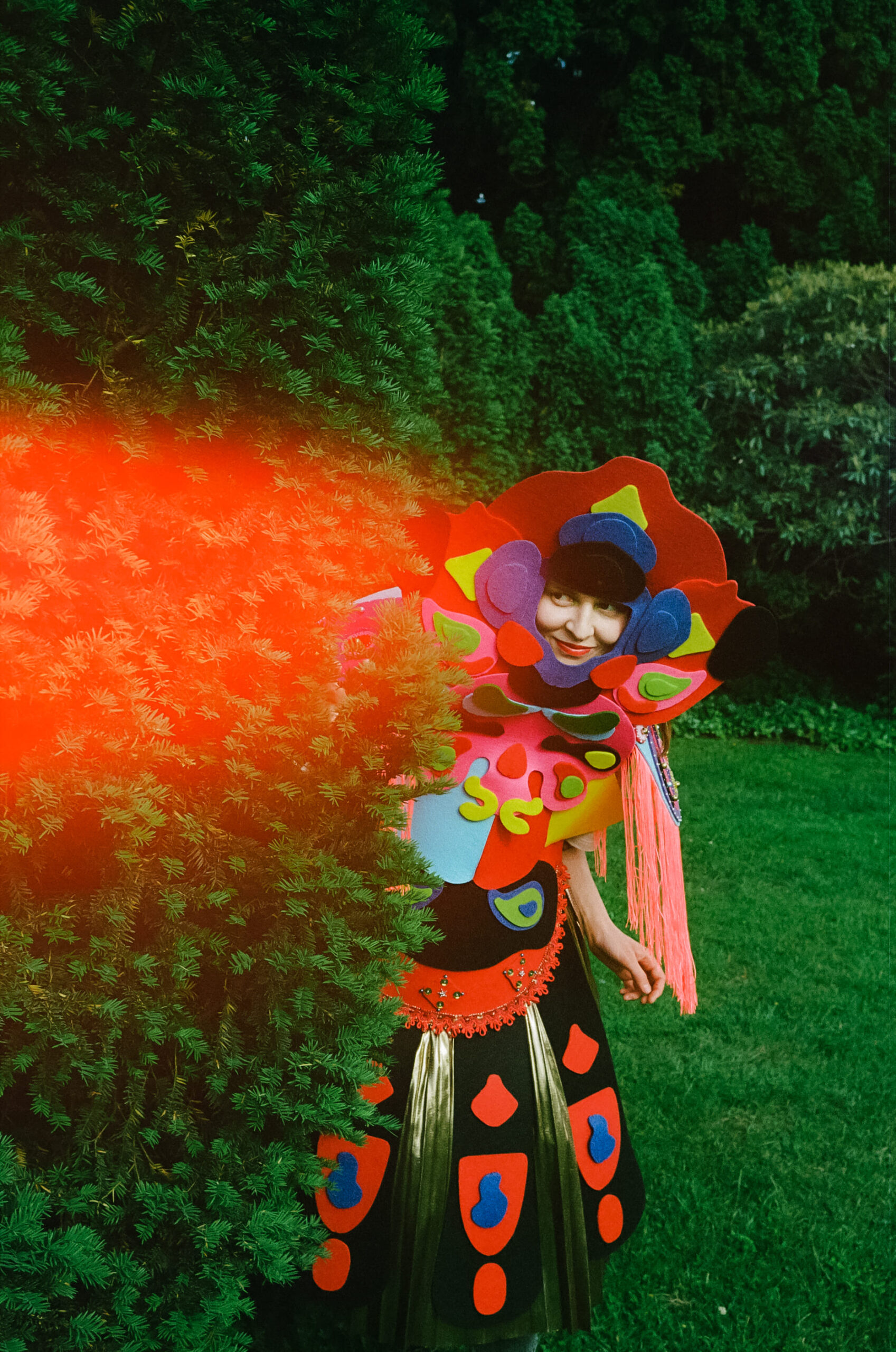 Woodland Adventure ethereal 